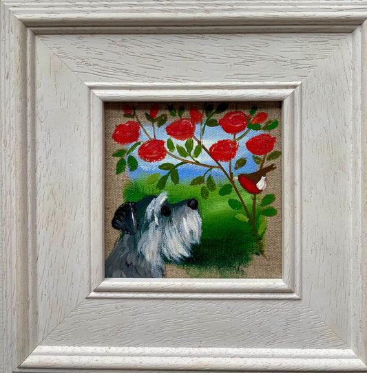 Sully The Schnauzer