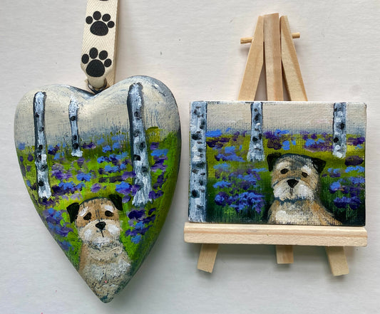 Border Bluebell Bundle