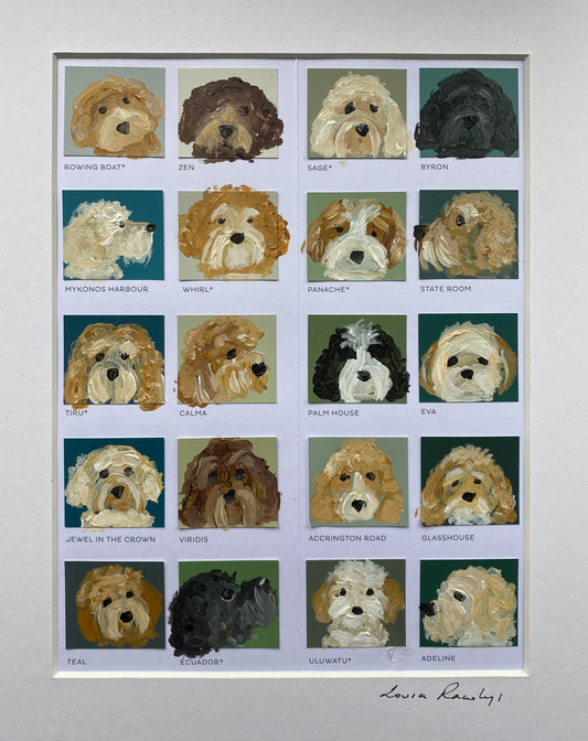 Cockapoos, Cavapoos and Doodledoo’s