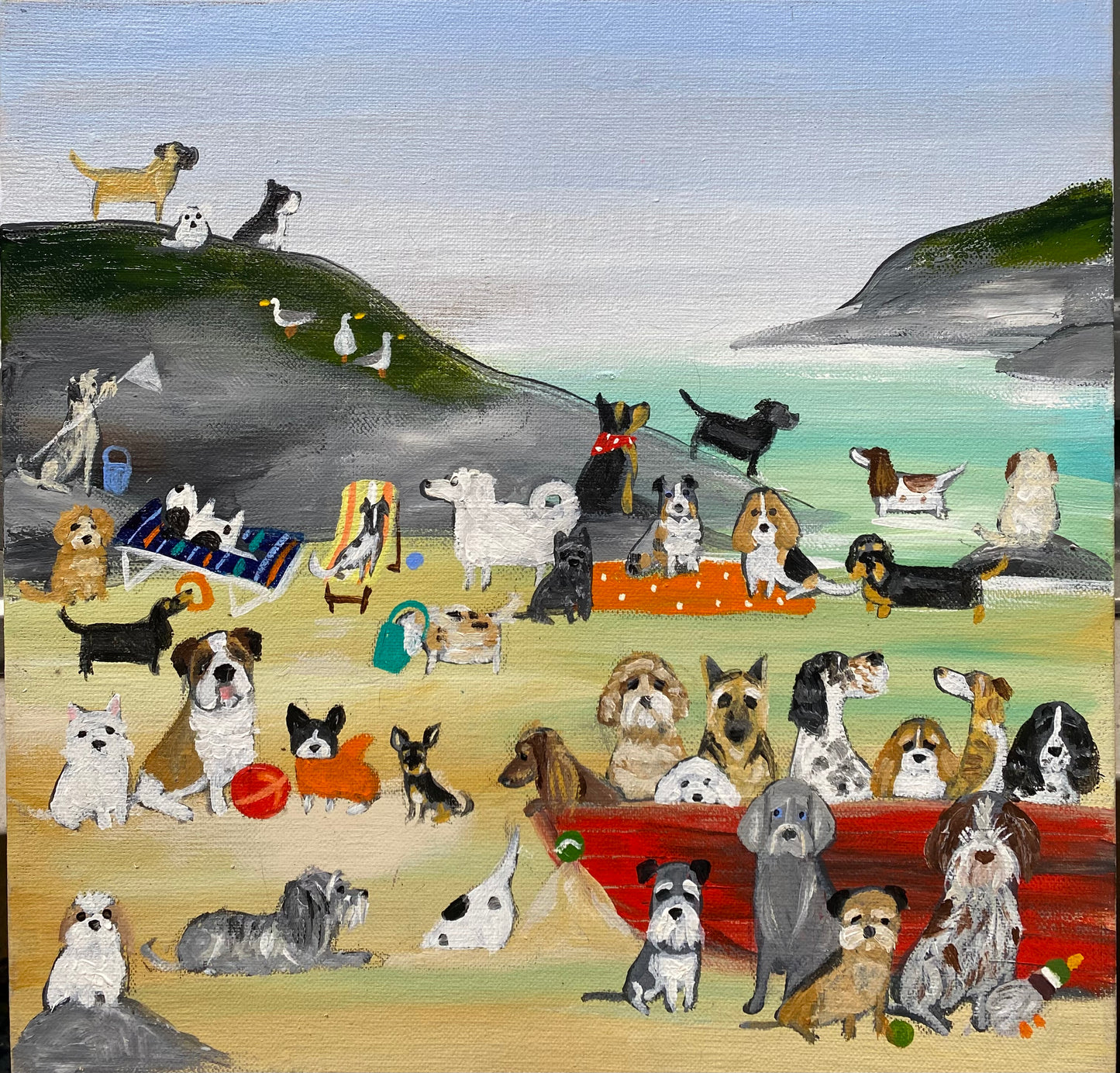 Dexter’s Sandy Duck