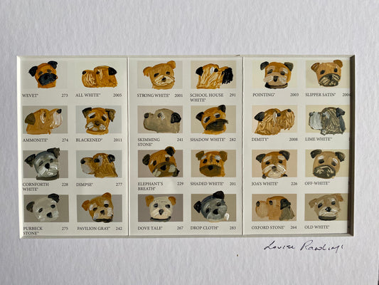 Border Colour Chart