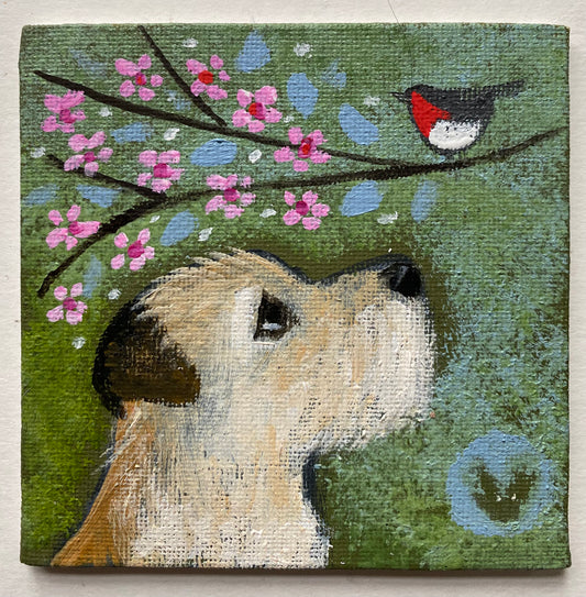 Tilly and The Robin