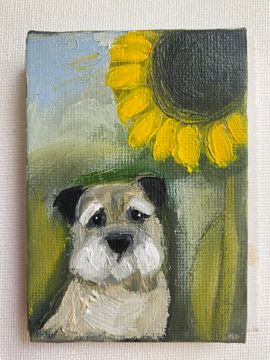 Buster and the Sunflower