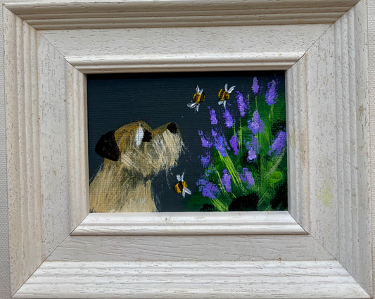 Lavender Daydreams