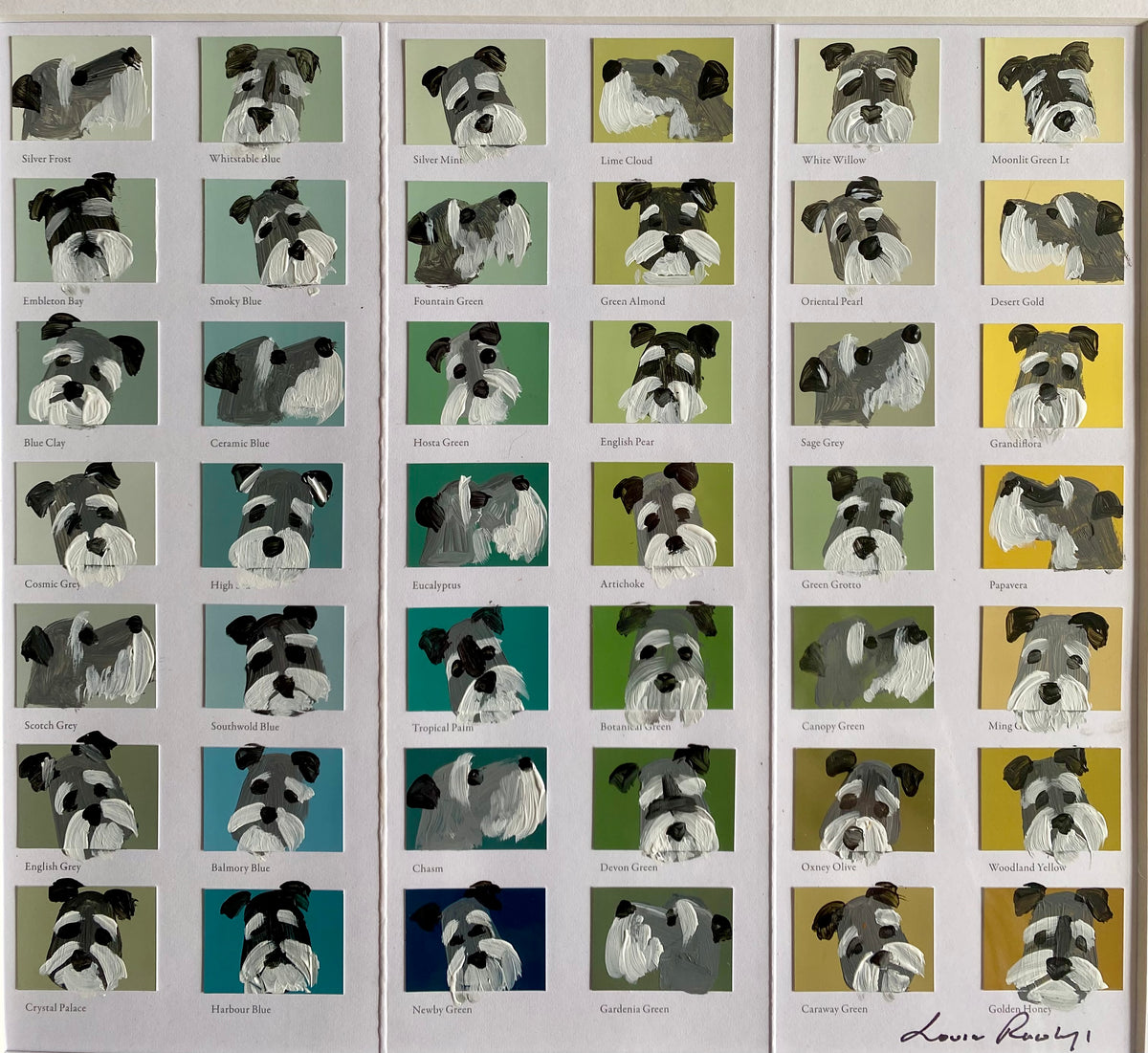 Schnauzer Colour Chart