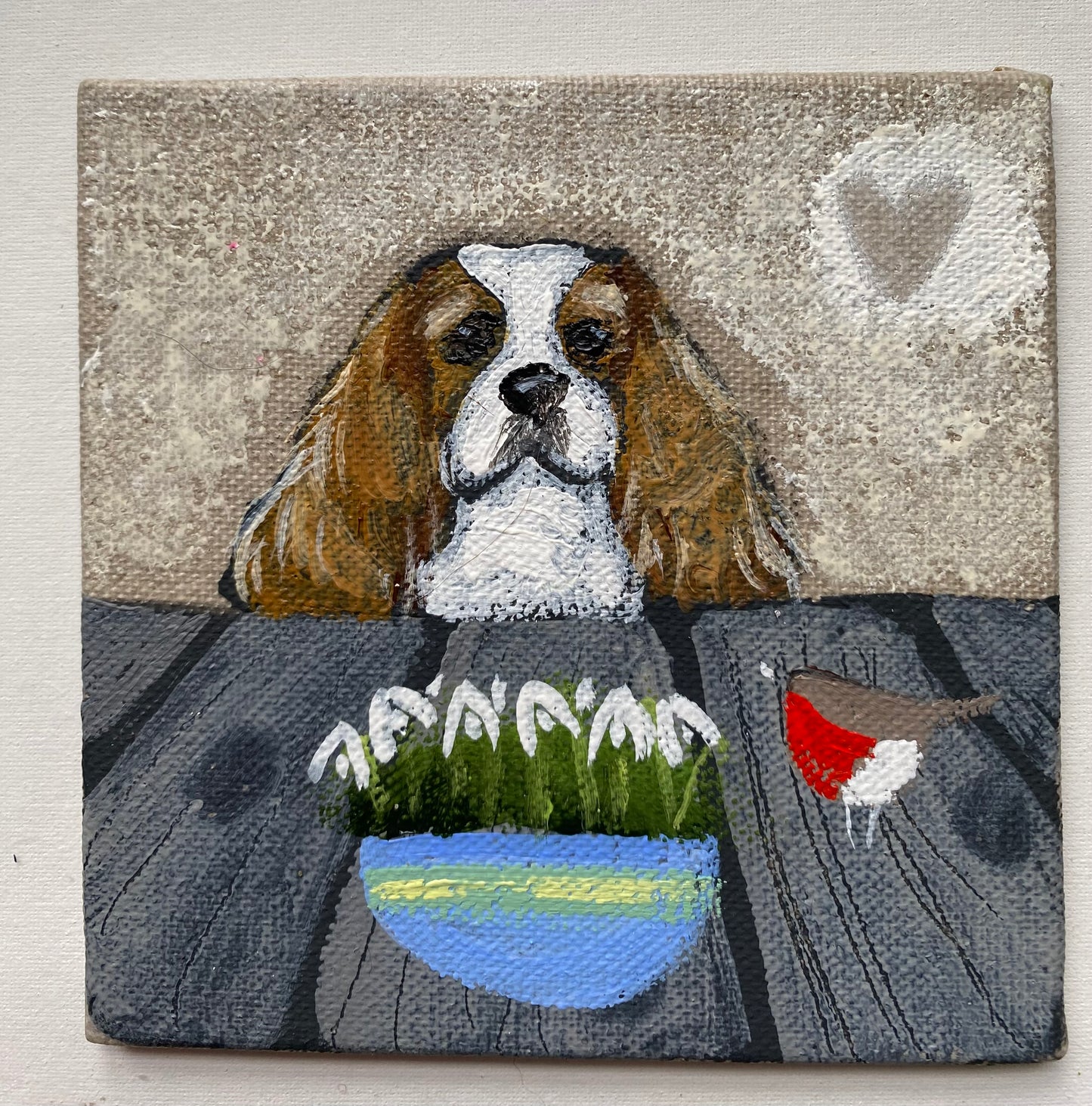 Colin The King Charles