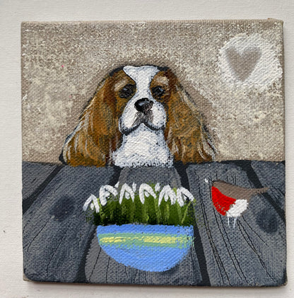 Colin The King Charles