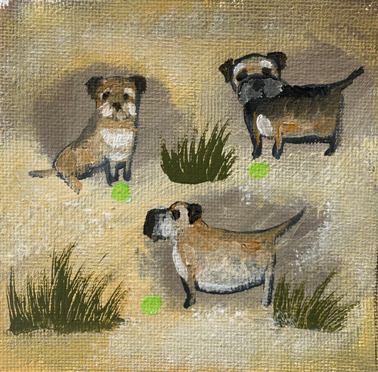 Twelve Sandy Paws