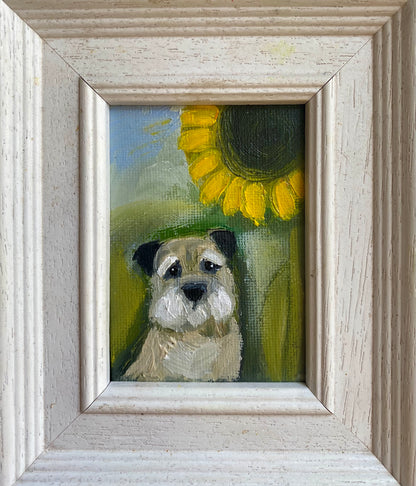Buster and the Sunflower