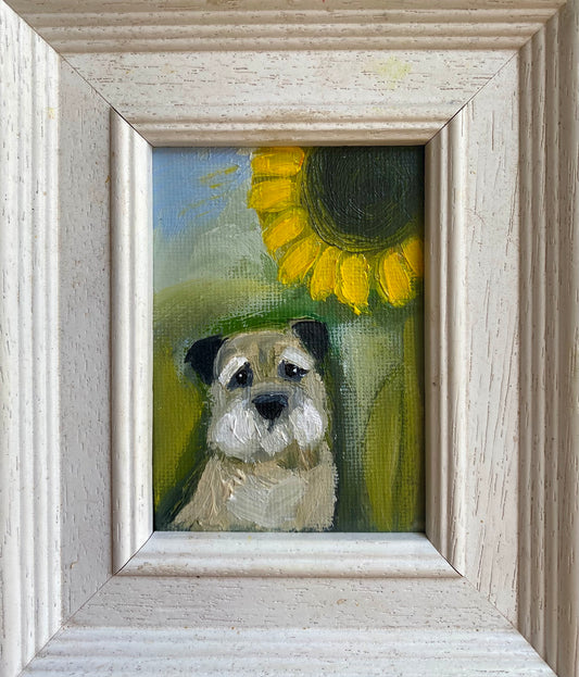 Buster and the Sunflower