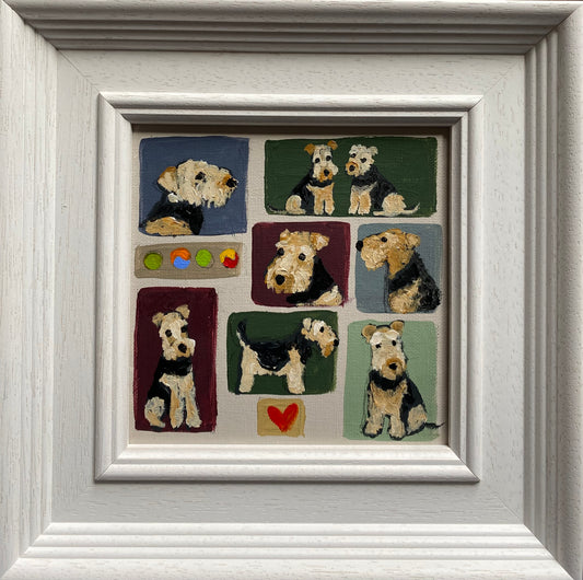 Patchwork Terriers