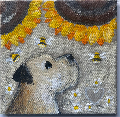First Sunflowers