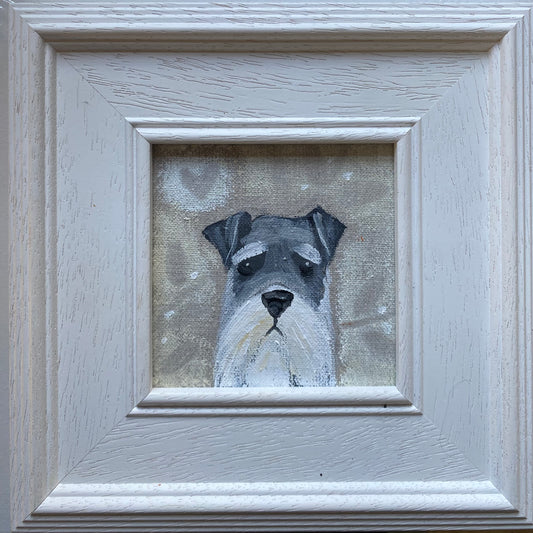 Someone Is Slightly Annoyed