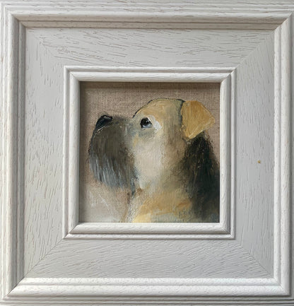 What Are You Looking At Buster?