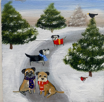 A Wander Through The Pines