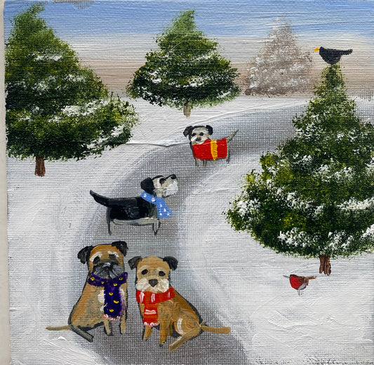 A Wander Through The Pines