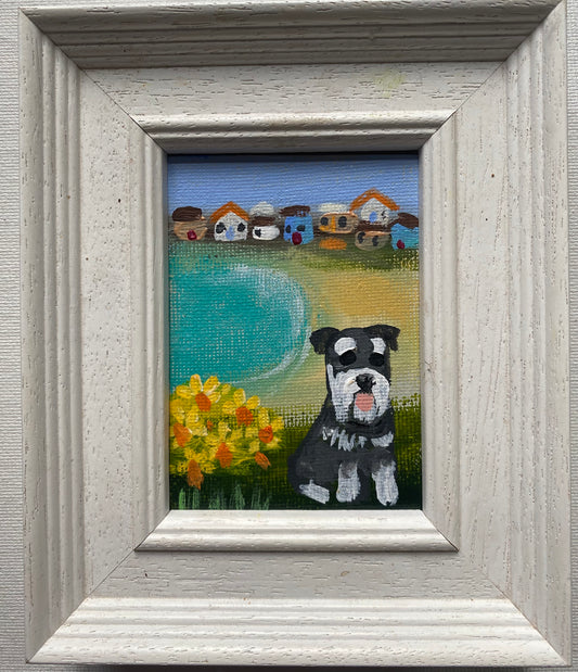 Daffs On The Headland