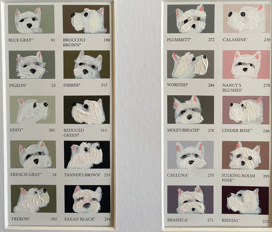 Westie Colour Chart