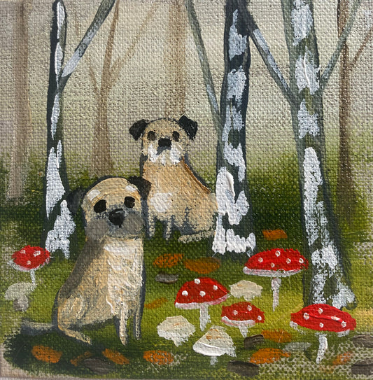 Fergus and Finn Find Fabulous Fungi