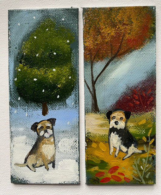 Border Colour Studies
