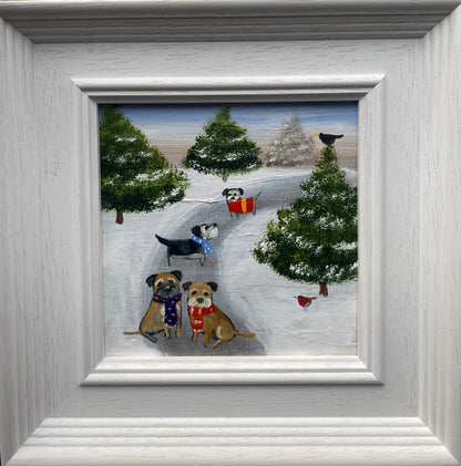 A Wander Through The Pines