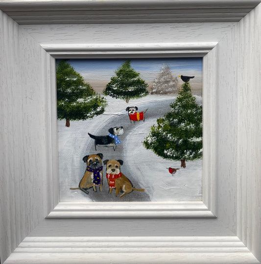 A Wander Through The Pines