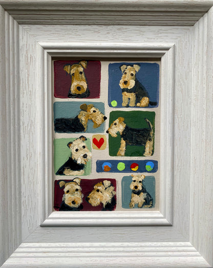 Welsh Patchwork
