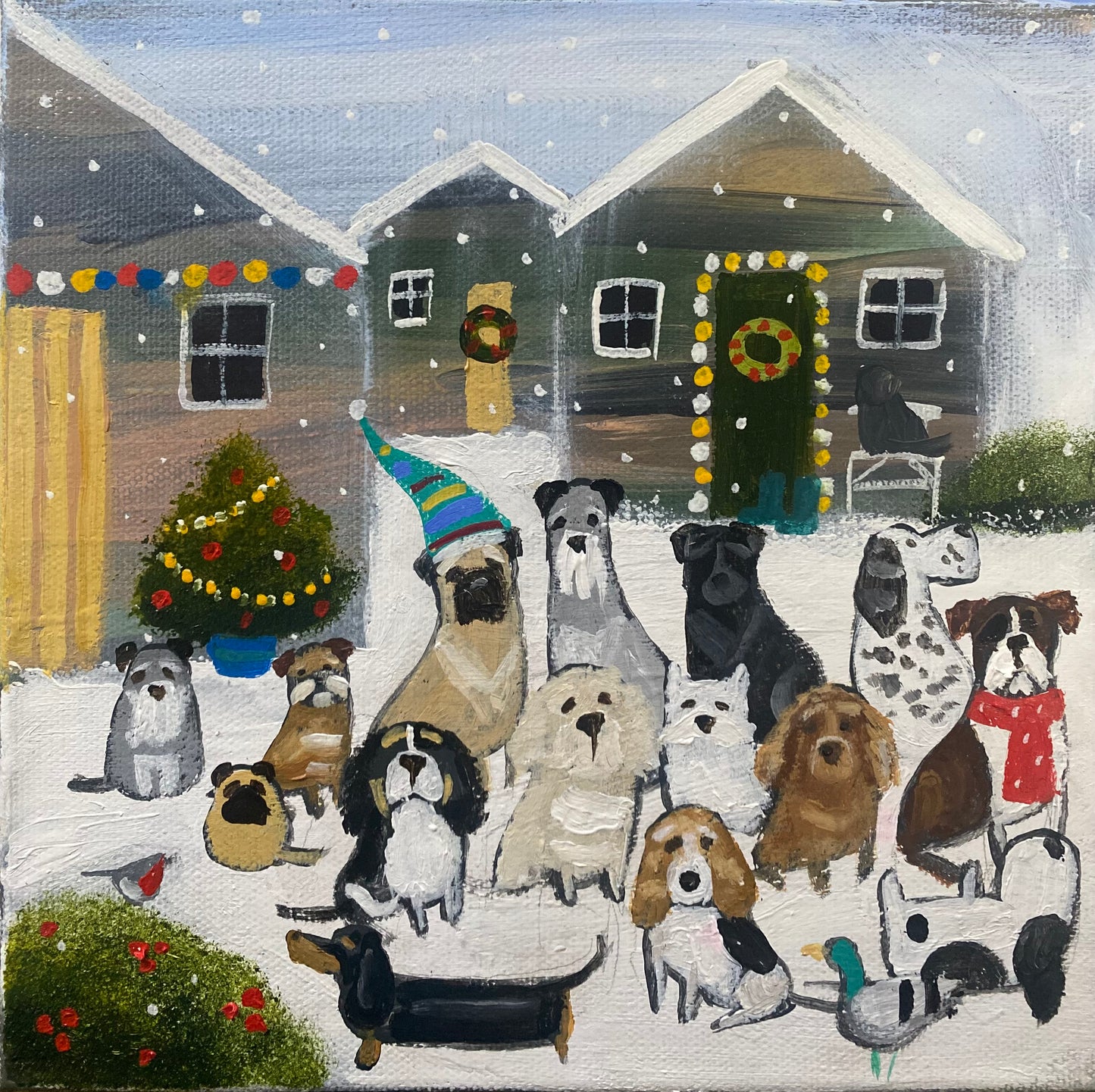 Milo Wore His New Hat To The Village Meetup