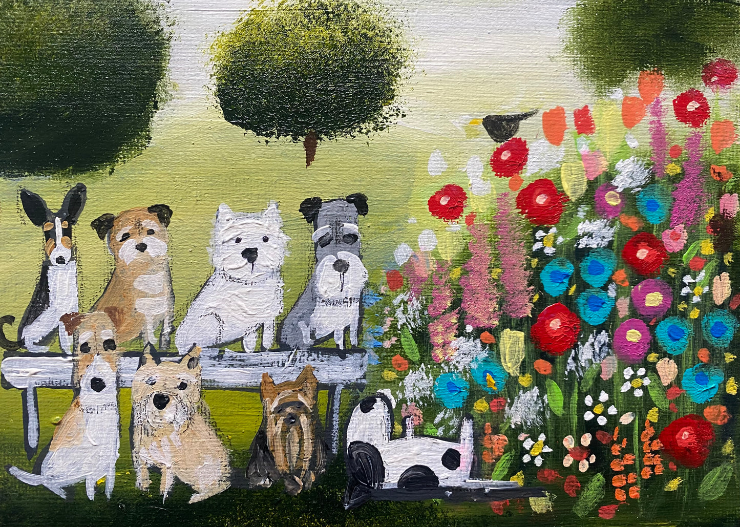 A Bench Of Terrier Terrors