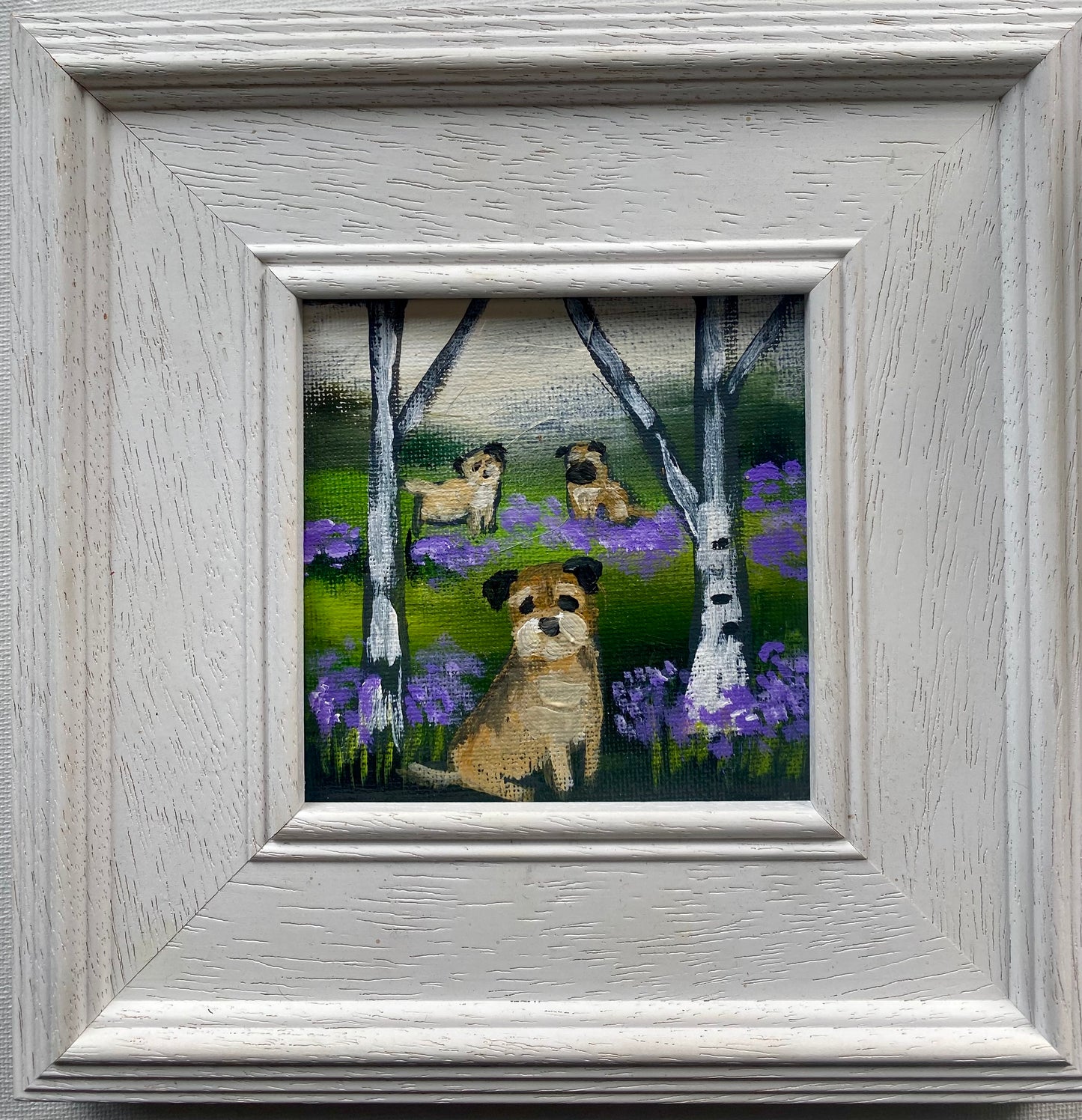 The Bluebell Wood