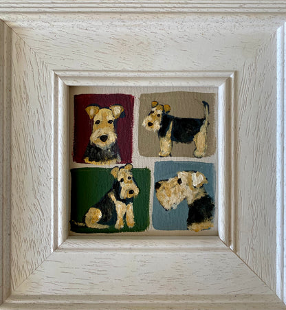 Four Welsh Terriers