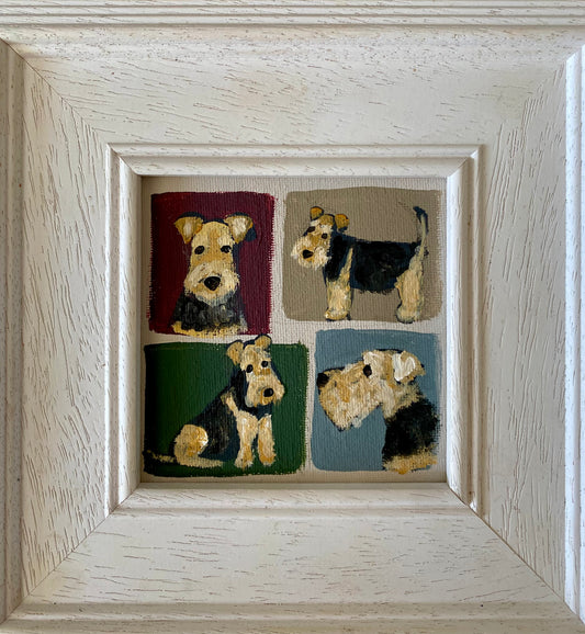 Four Welsh Terriers