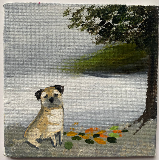 Autumn Leaves On The Shoreline