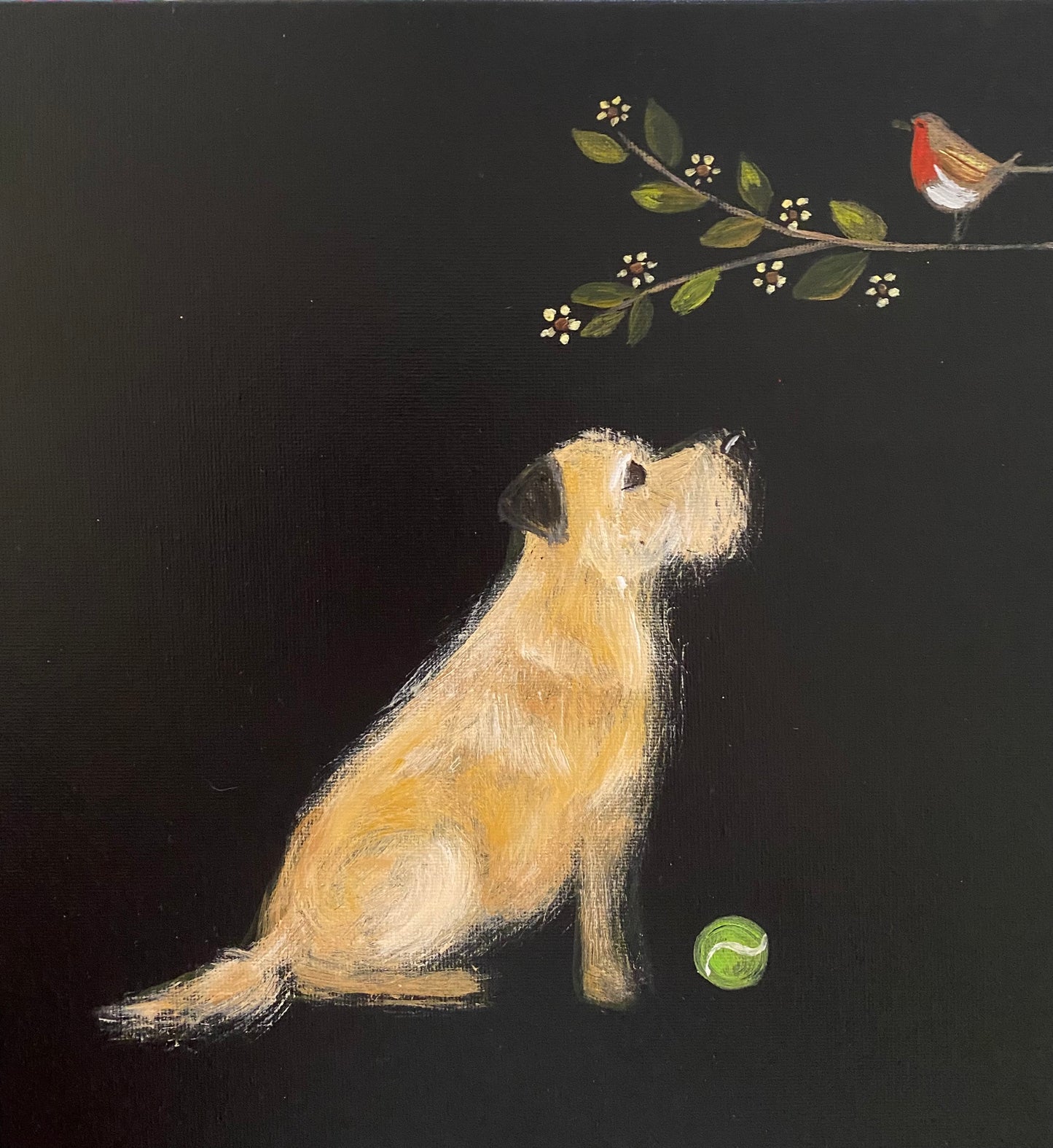 Rory and His Robin Pal