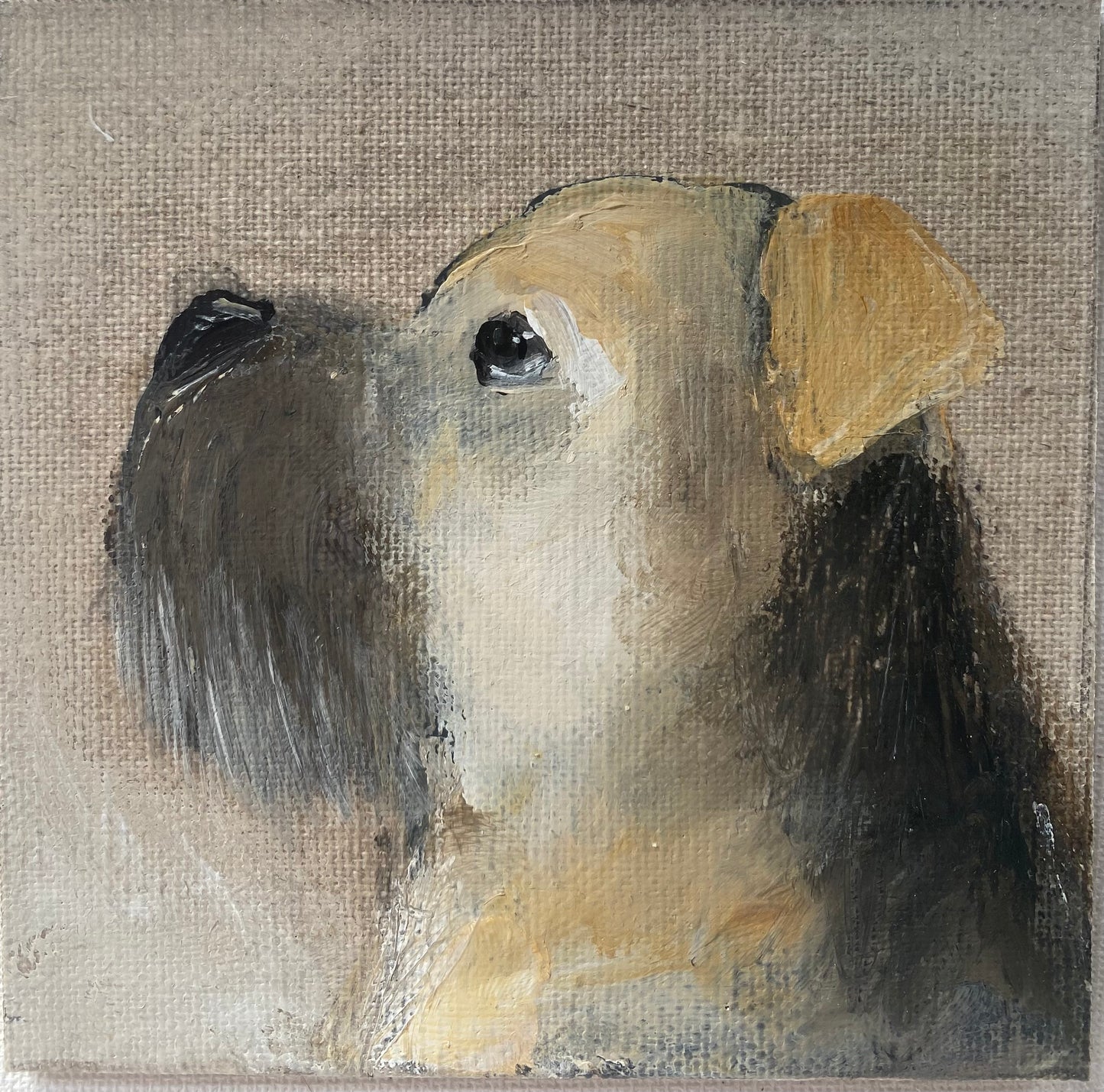 What Are You Looking At Buster?