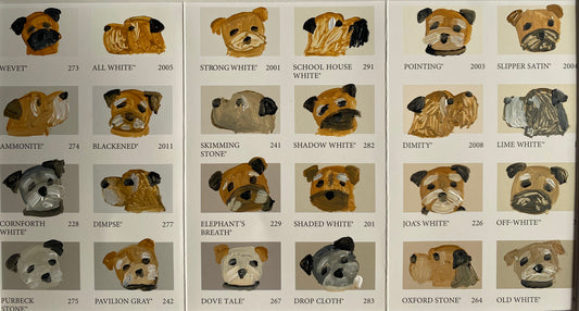 Border Colour Chart