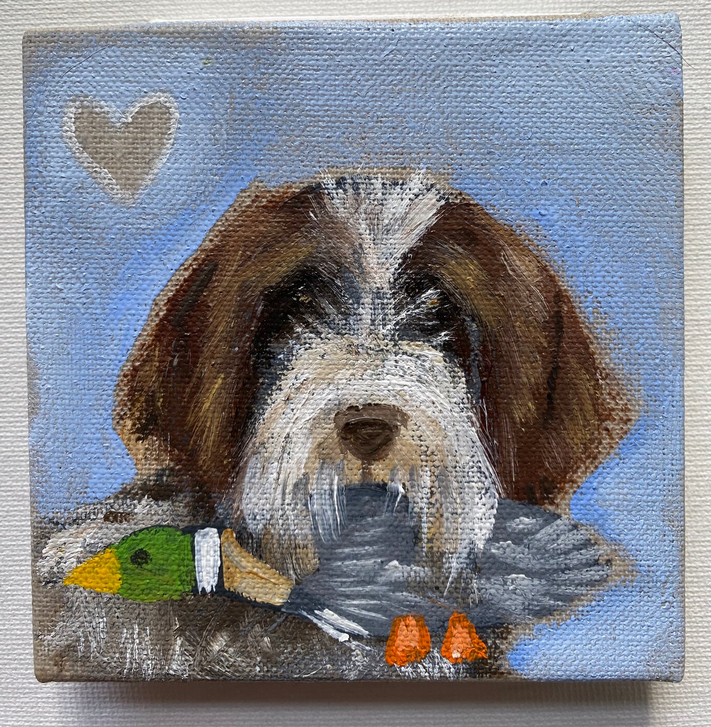 Dexter Loves  His Duck