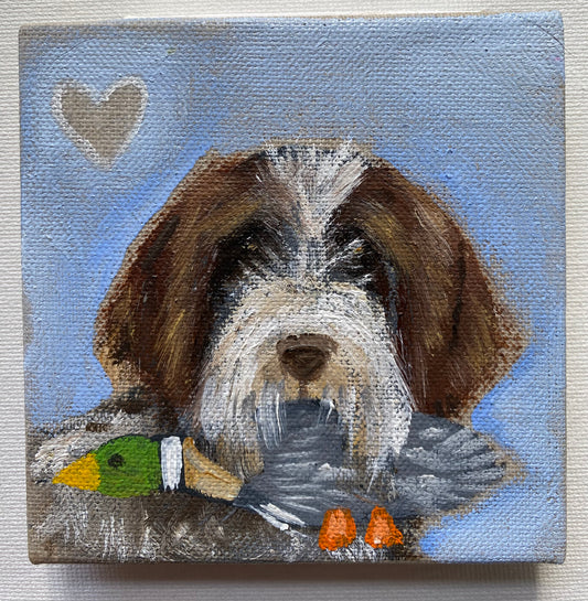 Dexter Loves  His Duck