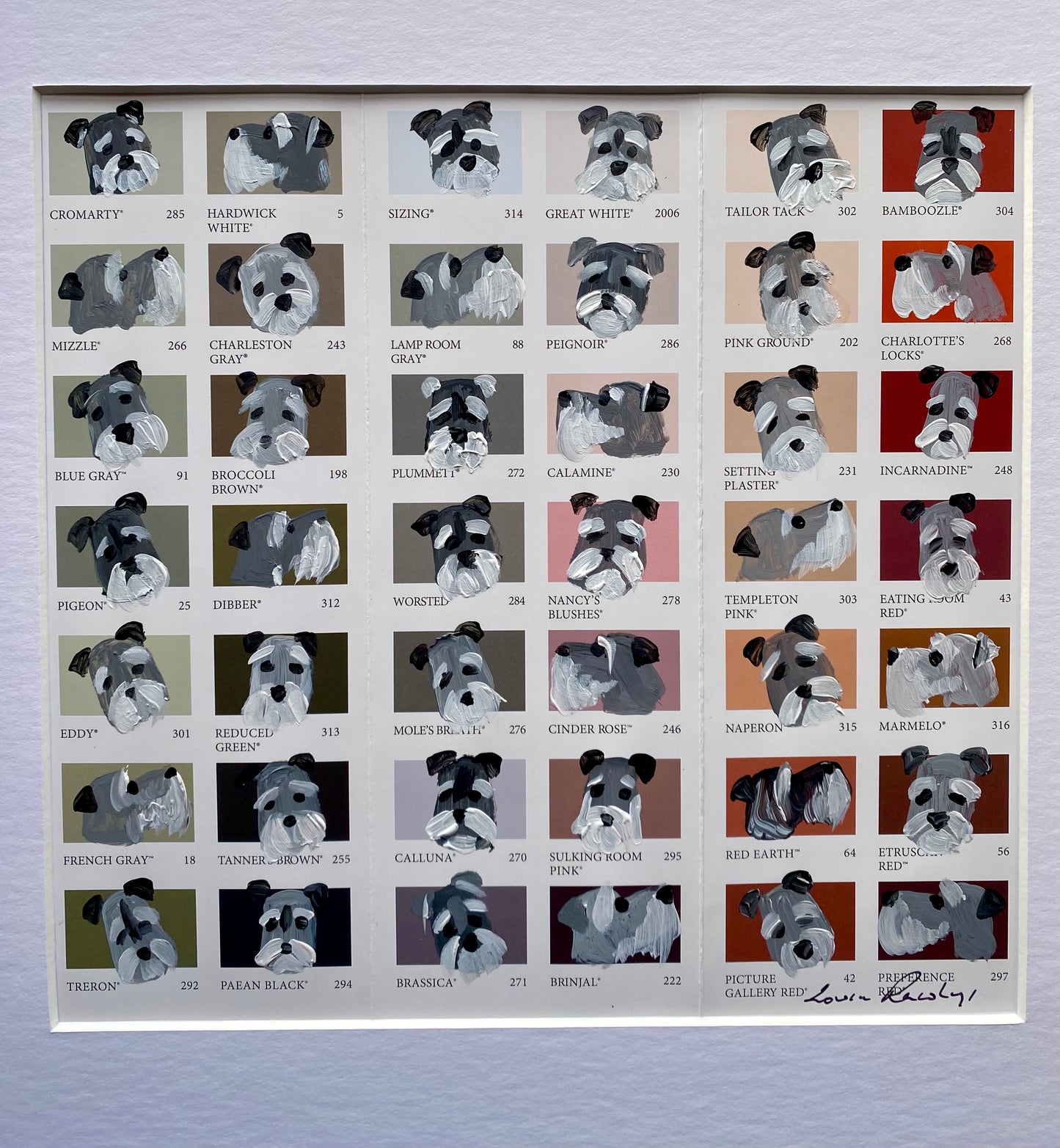 Schnauzer Colour Chart