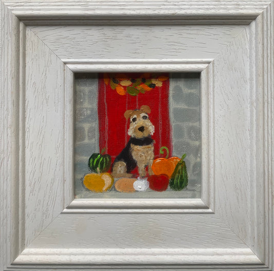The Splendid Display