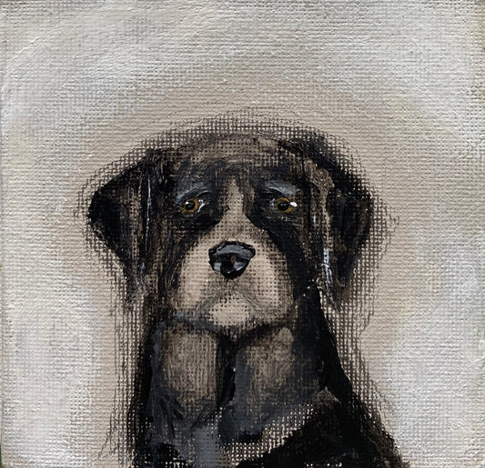 Albert The Great