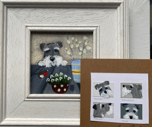 Sid Schnauzer and Snowdrops