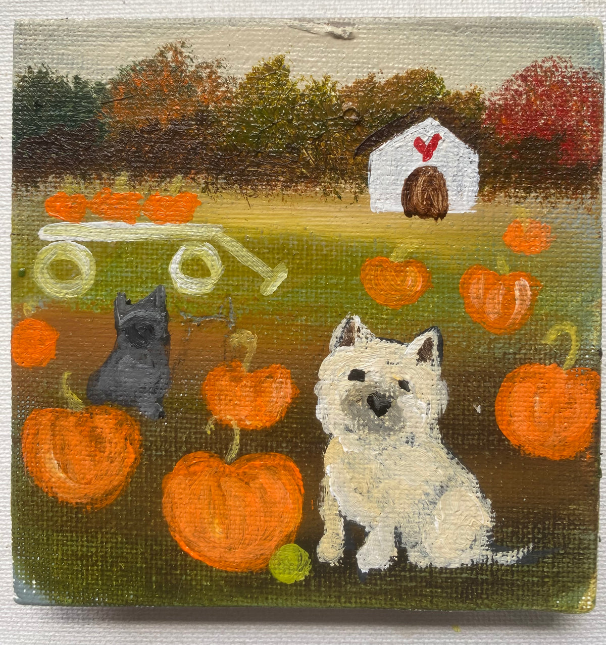The Perfect Pumpkin