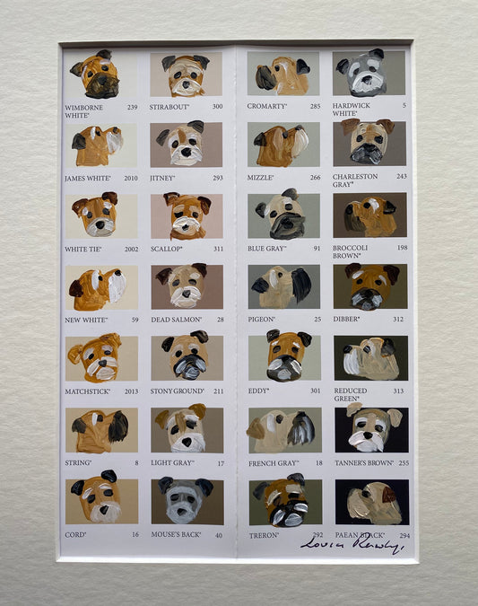 Border Colour Chart