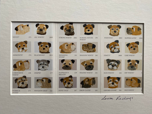 Border Colour Chart