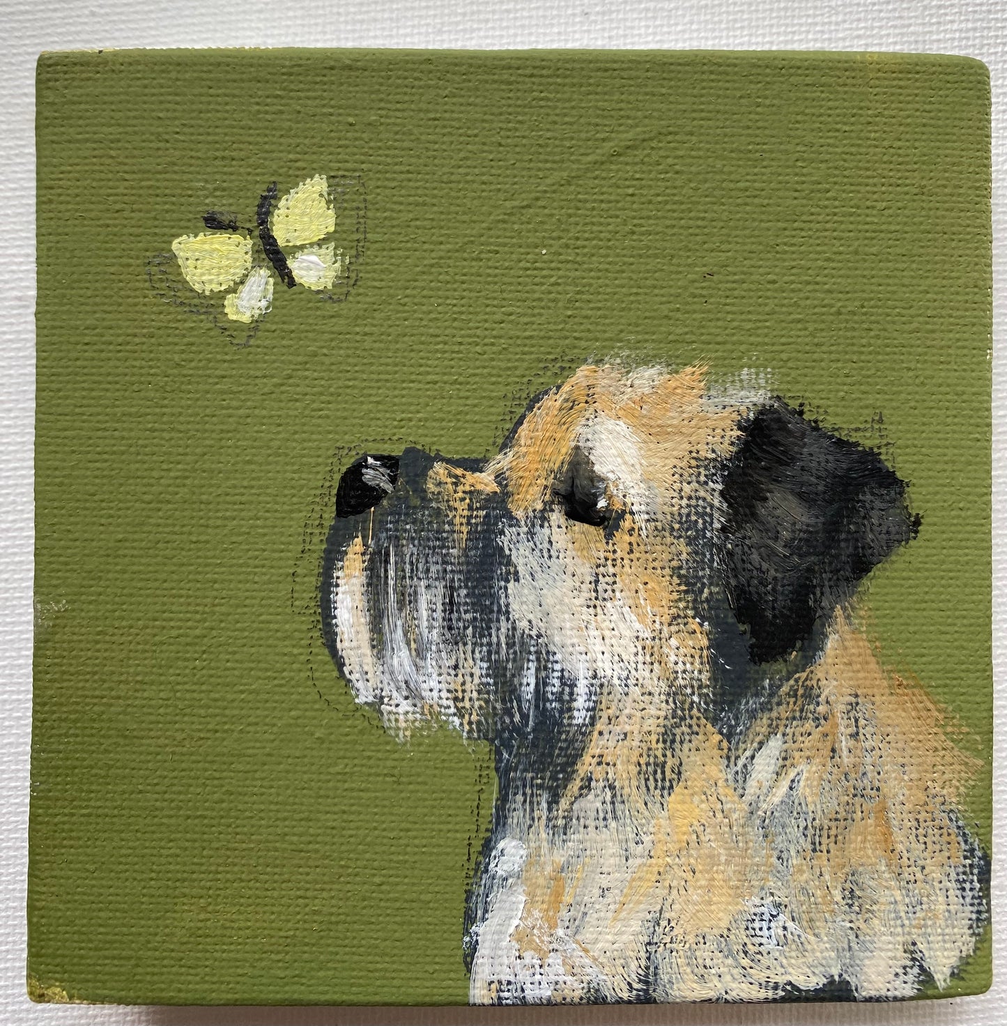 Little Yellow Butterfly