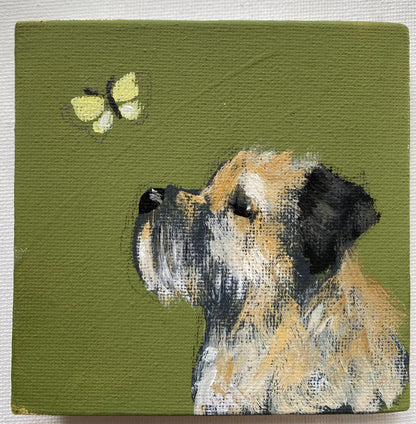 Little Yellow Butterfly