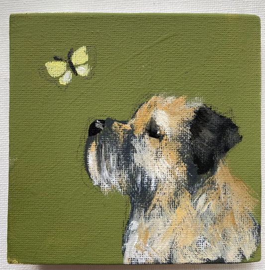 Little Yellow Butterfly