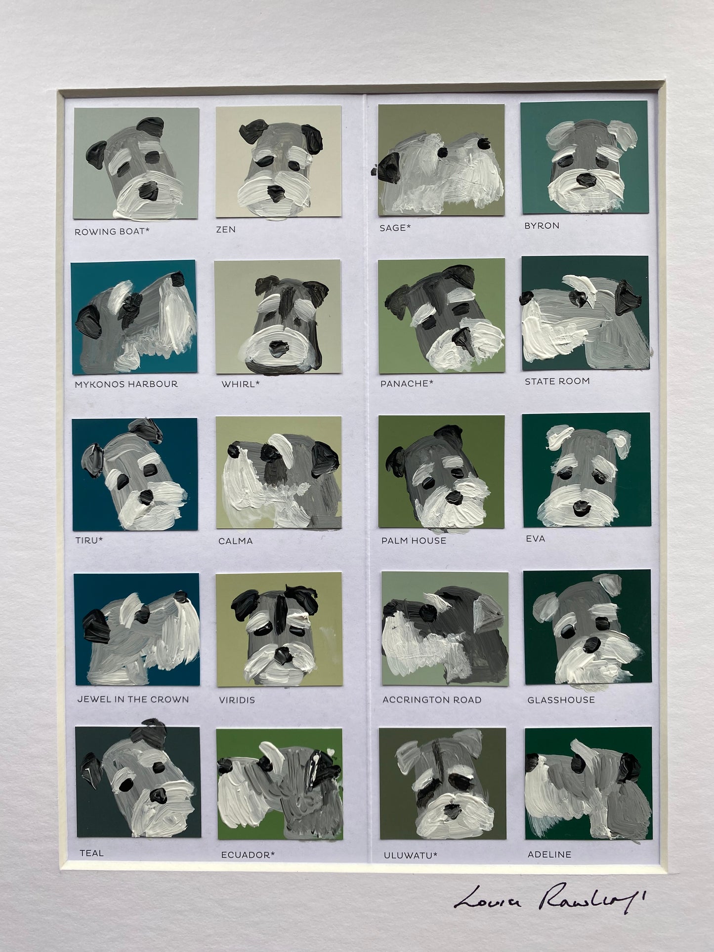 Schnauzer Colour Chart