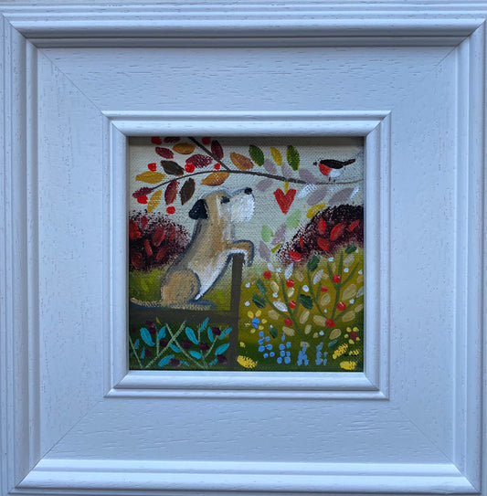 Monty and the Robin